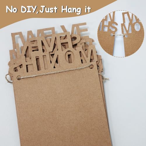 HiParty 1st Birthday Baby Photo Banner for Newborn to 12 Months, First Birthday Decorations for Boys or Girls, First Birthday Photo Banner Pre-Strung with Frame,Monthly Milestones Birthday Party Kit