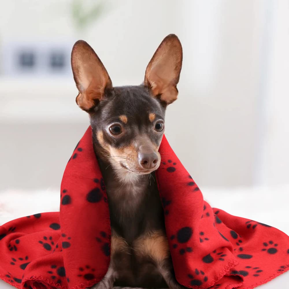 Cute Dog Cat Fleece Blankets with Paw Prints for Kitten Puppy and Small Animals Pack of 6 (Black, Brown, Blue, Grey, red and White)