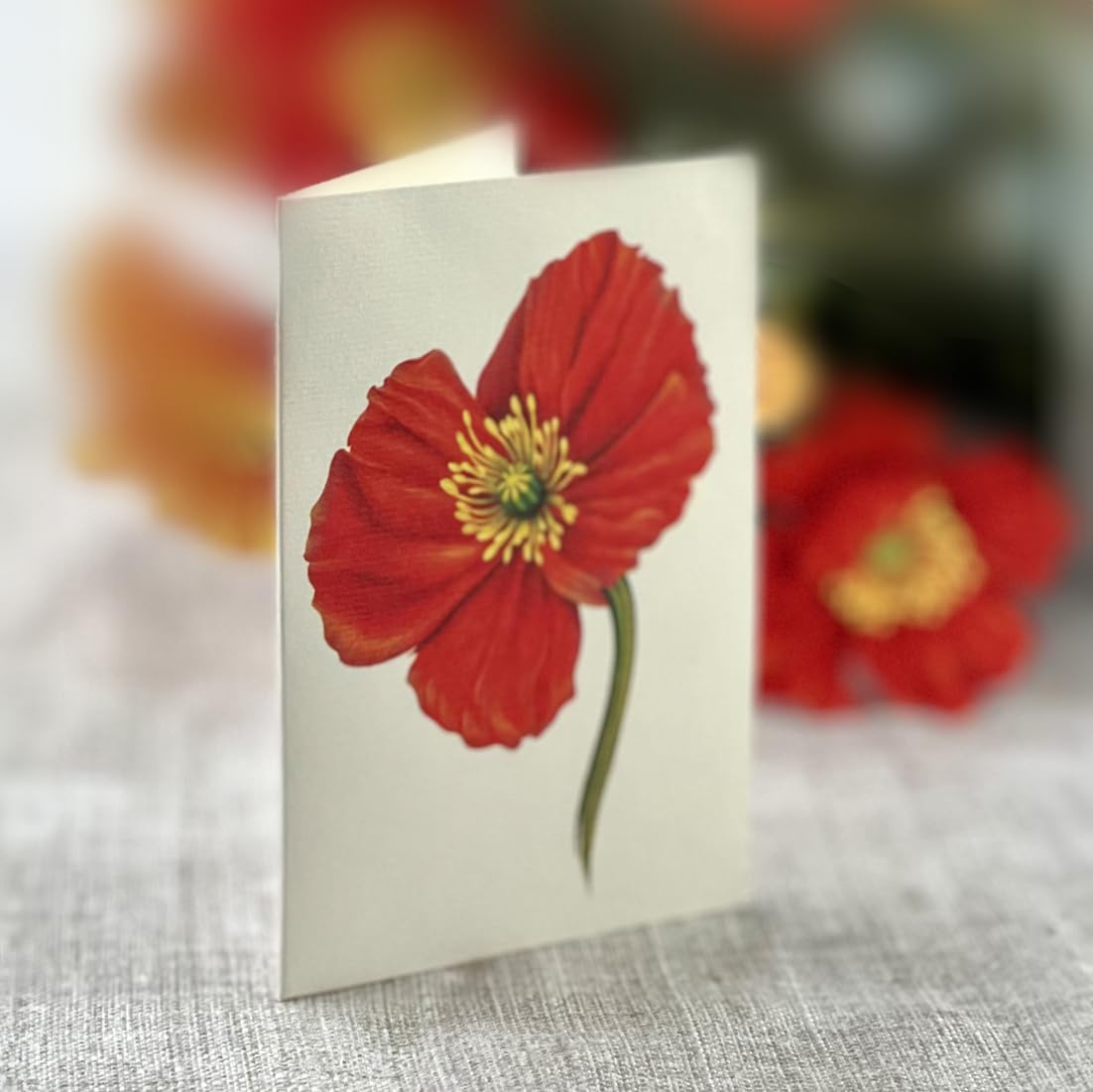 Freshcut Paper Pop Up Cards, French Poppies, 12 Inch Life Sized Forever Flower Bouquet 3D Popup Greeting Card, Birthday Cards, Thank You Card, Blank Notecard & Envelope