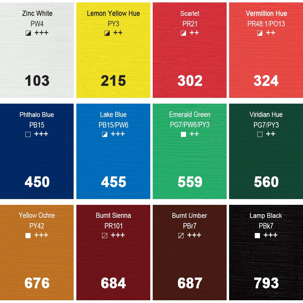 Oil Paint Set, 12x12ml/0.4 Fl Oz Tubes, Non-toxic Oil Based Paints for Canvas Craft Painting, Great Value Art Supplies for Artists, Adults & Beginners