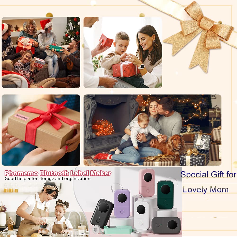 Phomemo Label Maker Machine with Tape D30, Small Office Home Edit Label Maker, Mini Bluetooth Thermal Label Printer, Smart Mobile Pocket Handy Sticker Labeler Printer, Compatible with iOS/Android