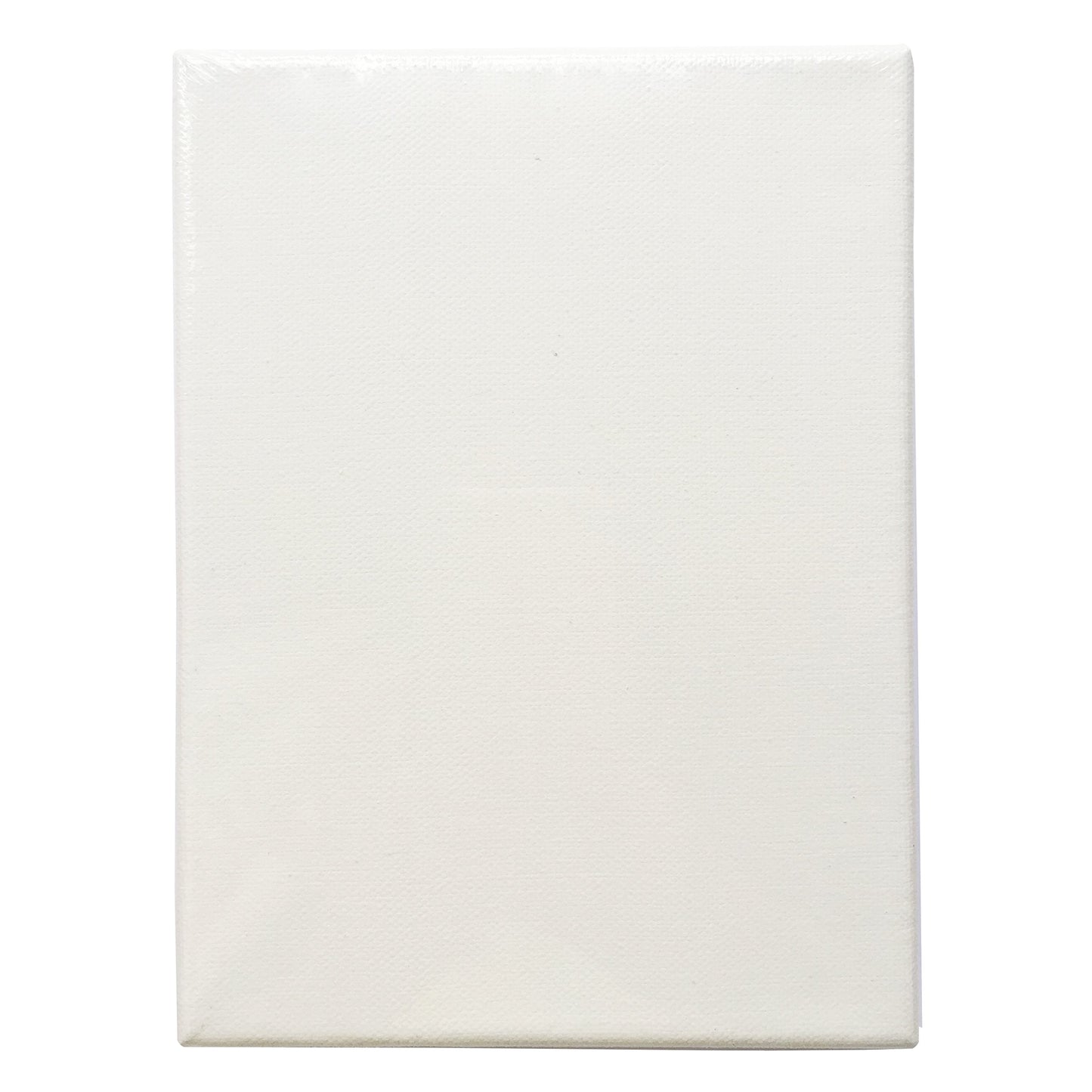 CRAFTS Stretched Canvas 6" X 8" Pack of 6