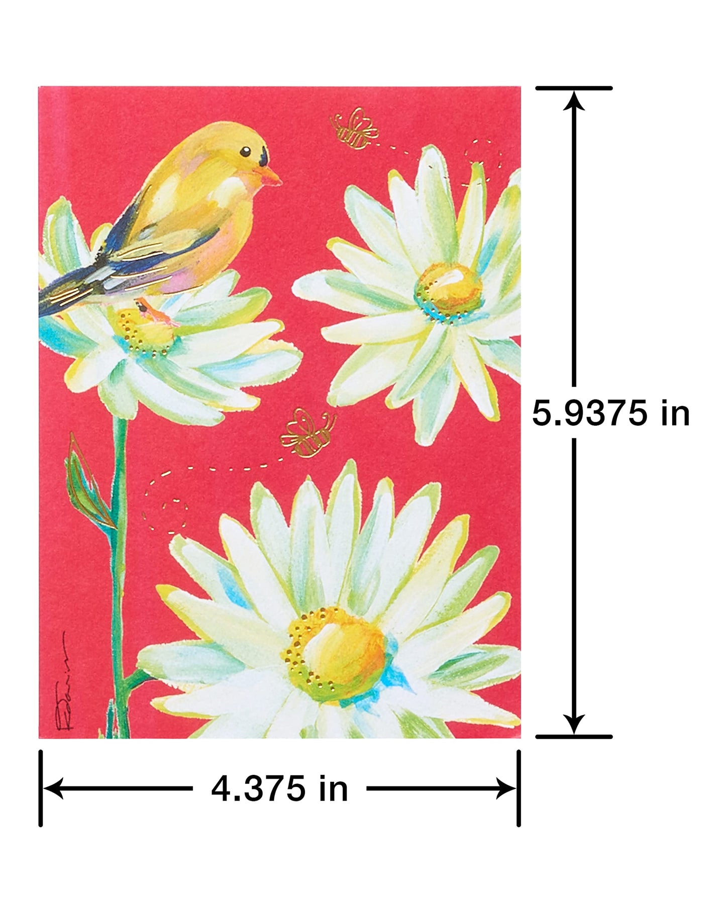 American Greetings All Occasion Card Bundle, Kathy Davis Designs (40-count)