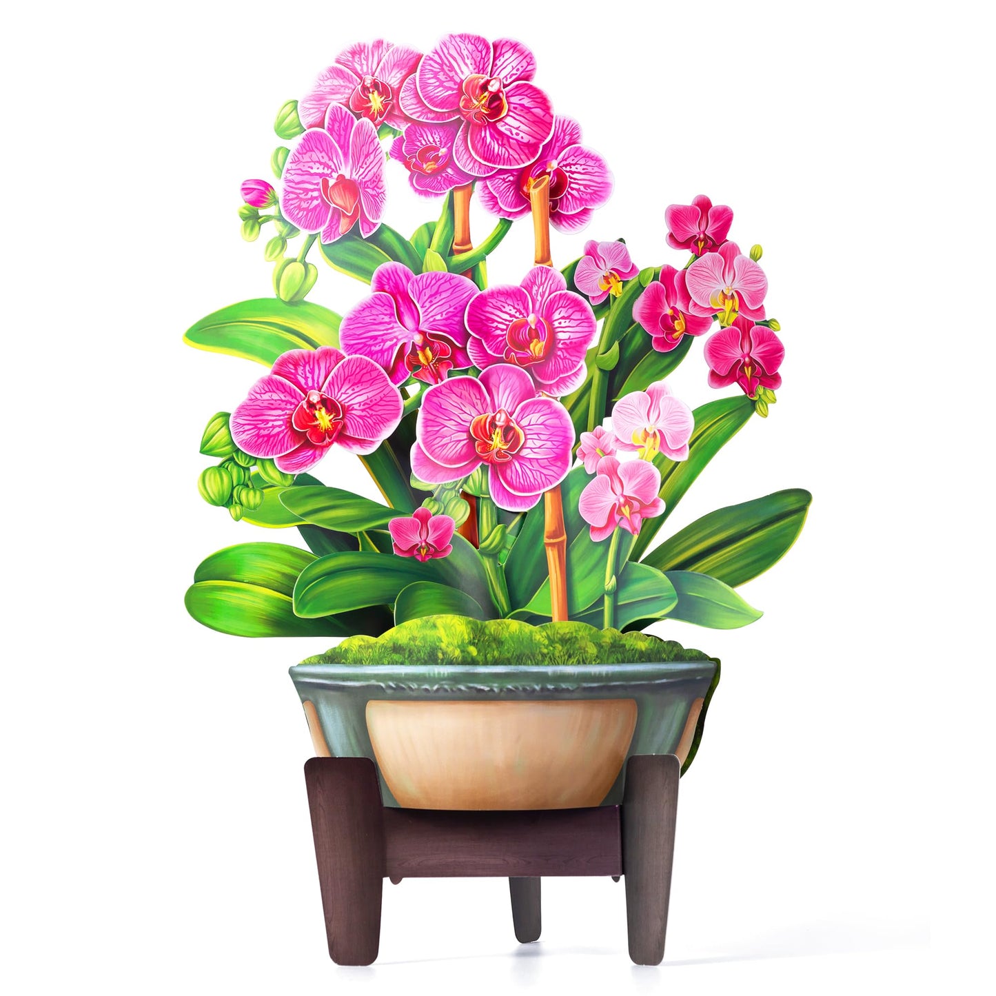 Airpark Mothers Day Gifts Pop Up Flower Card, 3D Orchid Bouquet Mothers Day Cards for Mom Women, Birthday, Thank You, Teacher Appreciation Gifts, Floral Card with Envelope & Note