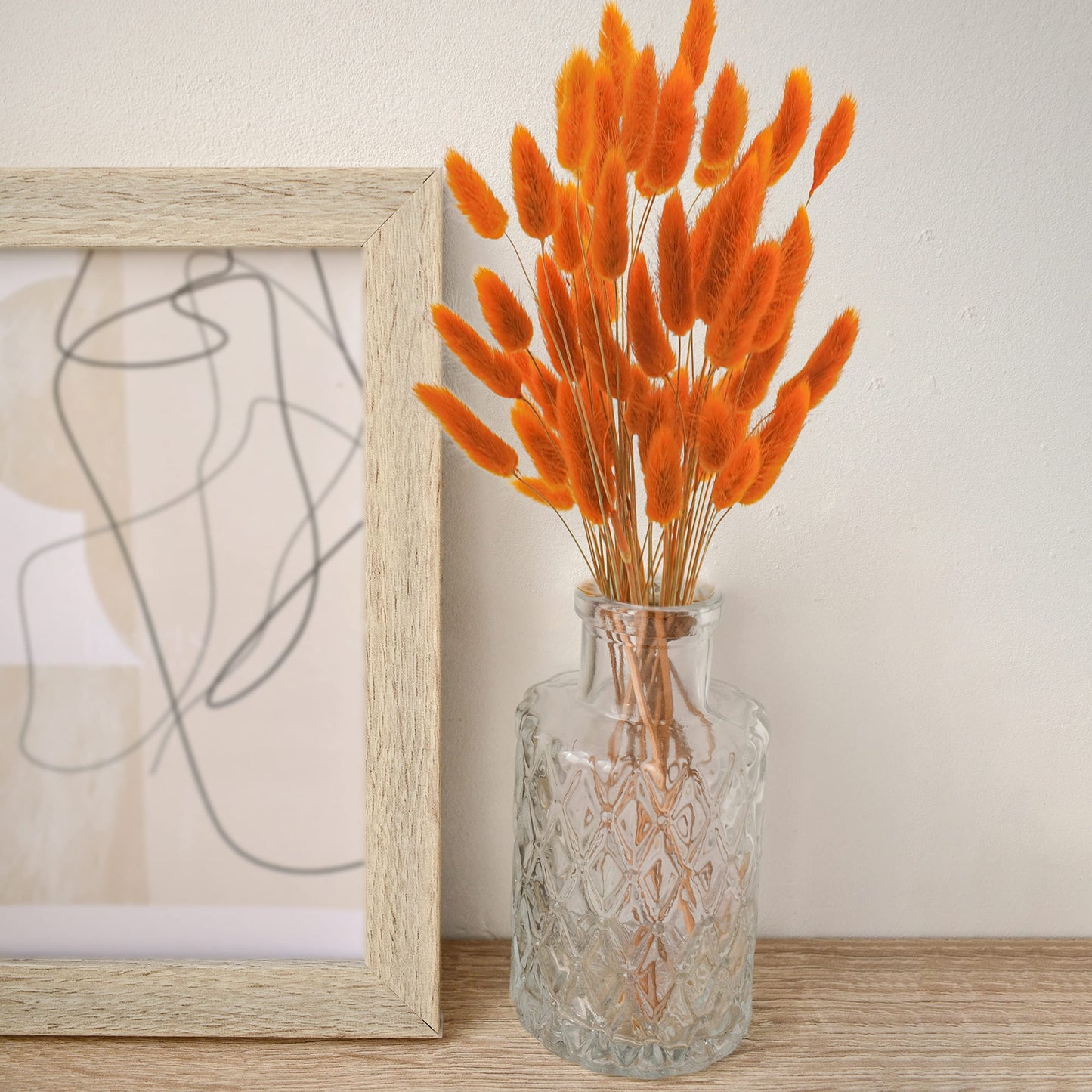 Uieke 17’’ Natural Bunny Tails Dried Flowers, 240 Pcs Dried Lagurus Ovatus, Dried Pampas Grass for Flower Arrangements Wedding Centerpieces Home Boho Baby Shower Party Fall Decorations (Orange)