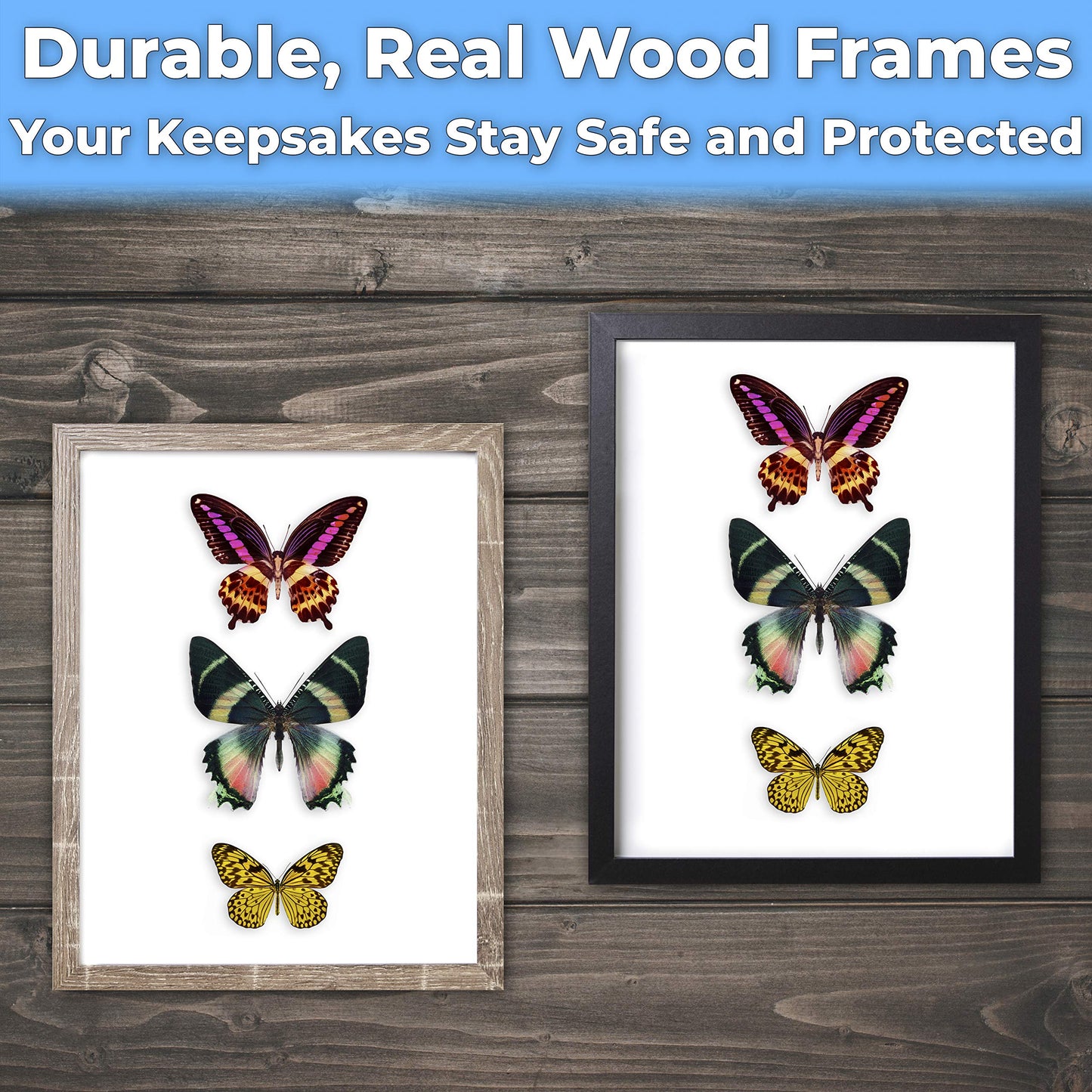 Real Wood 8x10 Shadow Box Frame 1pk. Genuine Hardwood Display with Real Glass. Best Shadowbox to Showcase Photos, Tickets, Wedding Bouquets, CDs, Medals, Awards, Seashells and Insects.