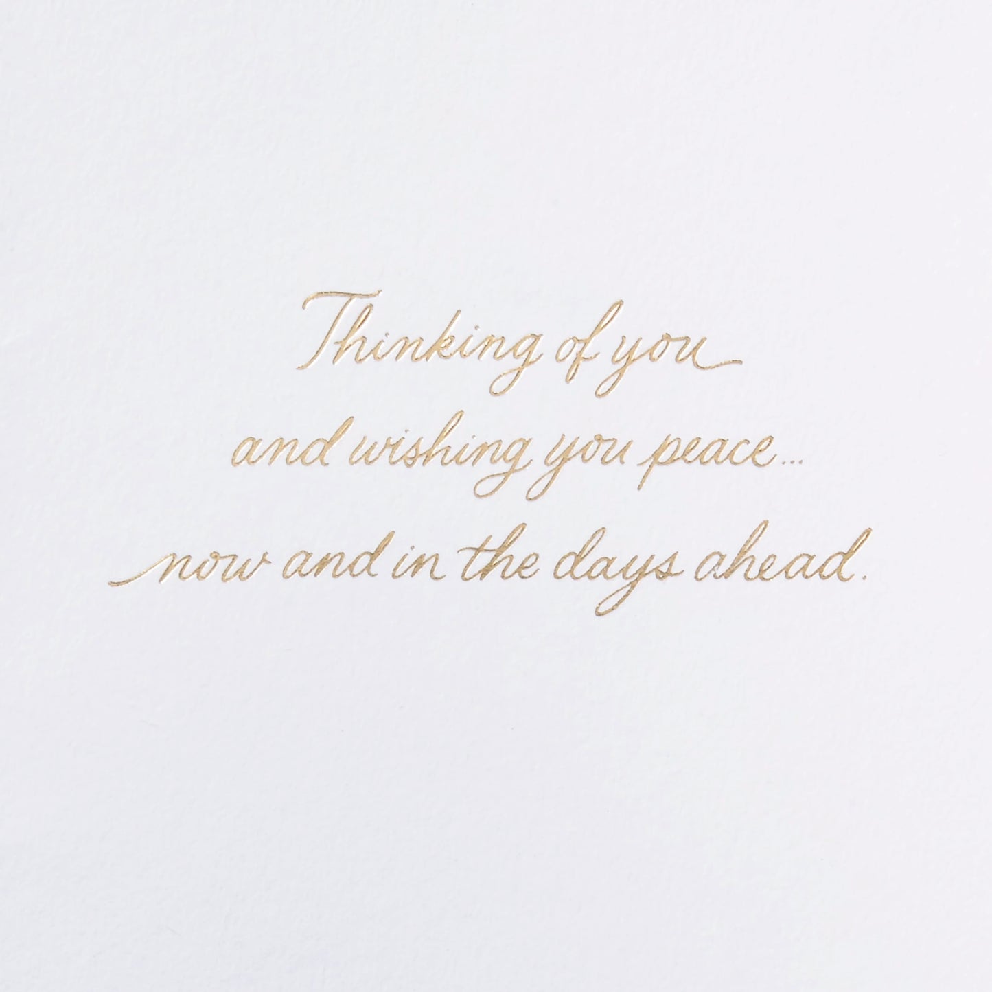 Signature Sympathy Card (Butterflies)