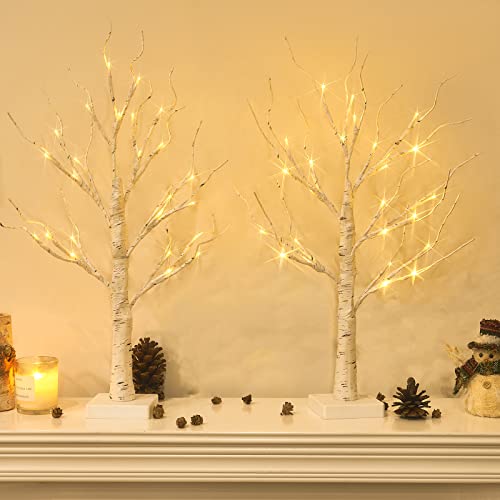 Vanthylit Tabletop Christmas Tree, White Birch Tree with LED Lights- Set of 2, Warm White Small Tree Lights Battery Powered Timer, Lighted Tree for Mantle Christmas Decorations (2FT, 24LED)