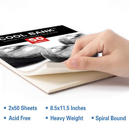 52 Piece Professional Drawing Set with 2 x 50 Page Drawing Pad, Art Supplies, Graphite Drawing Pencils and Sketch Set, Artist Sketching Tools in Tin Box Includes Charcoals,Pastels and Sharpener