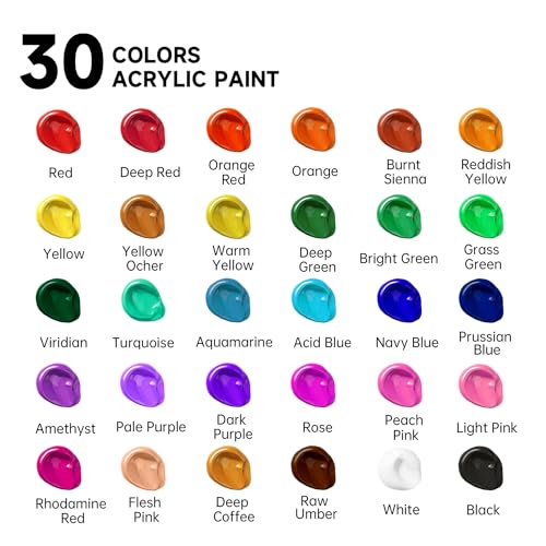 Shuttle Art Acrylic Paint Set, 30 x12ml Tubes Artist Quality Non Toxic Rich Pigments Colors Great for Kids Adults Professional Painting on Canvas Wood Clay Fabric Ceramic Crafts