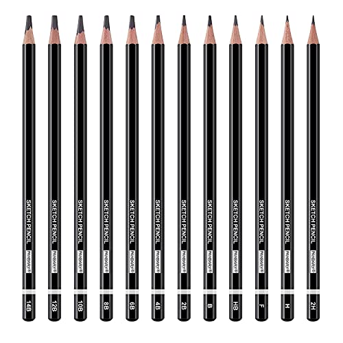 PANDAFLY Professional Drawing Sketching Pencil Set - 12 Pieces Graphite Pencils(14B - 2H), Ideal for Drawing Art, Sketching, Shading, Artist Pencils for Beginners & Pro Artists