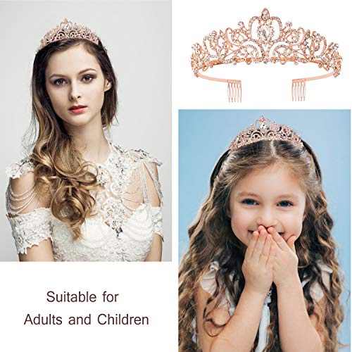 Rose Gold Birthday Tiara Crown for Women, Happy Birthday Flower Crown Sash, Birthday Decorations Party Favors Supplies Birthday Cake Toppers Birthday Gifts for Women Halloween Cosplay