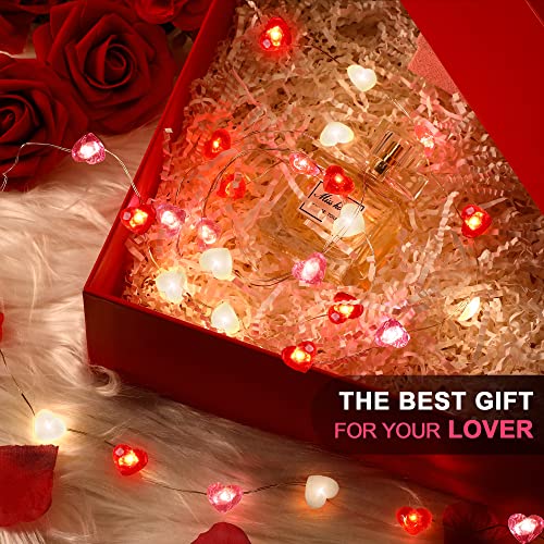 Fairy String Lights 10 Feet LED Red Pink White Heart Shaped Twinkle Fairy Lights 8 Modes Battery Operated for Valentine's Day Kids Bedroom Christmas Wedding Indoor Party Decor with Timer