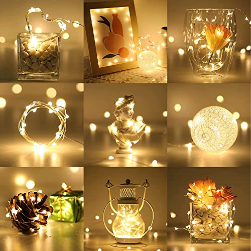Lighting EVER Fairy Lights Battery Operated 20 LED Mini String Lights, Small Pixie Lights for Mason Jars, Crafts, DIY Wedding Party Centerpieces, Bedroom Wall Vines Holiday Garland, 8 Pack