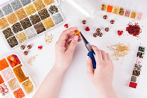 Paxcoo 2880 Pcs Jewelry Making Findings Supplies Kit with Open Jump Rings, Lobster Clasps, Crimp Beads, Screw Eye Pins, Head Pins, Earing Hooks and Earing Backs
