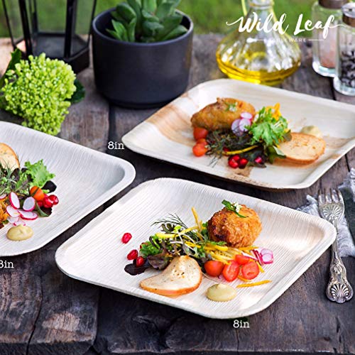 All Natural Palm Leaf Paper Plates, 8 Inch / 25 Pack. Biodegradable, Heavy Duty Party Plates - Comparable to Bamboo Wood Fiber - Elegant and Eco Friendly Tableware by Wild Leaf