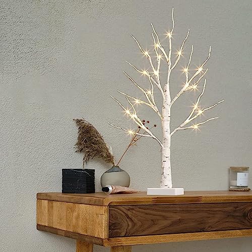 EAMBRITE Tabletop Tree Christmas Decorations, Mini Birch Tree with Lights, 24 LED Lighted Money Tree White Twig Tree Battery Operated with Timer, Home Centerpiece, Indoor Decor(2FT/Warm White)