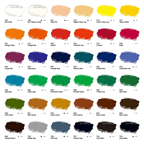 PHOENIX Oil Paint Set, 36x12ml/0.4 Fl Oz Tubes, Non-toxic Oil Based Paints for Canvas Craft Painting, Great Value Art Supplies for Artists, Adults, Kids & Beginners