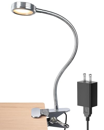 LEPOWER Clip on Light/Reading Light/Book Light Color Changeable/Night Light Clip on for Desk, Bed Headboard and Computers (Silver)