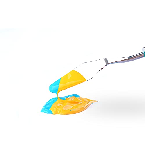 TRANSON Acrylic Paint Set 12-Color with 3 Paint Brushes for Craft Canvas Rock Art Painting