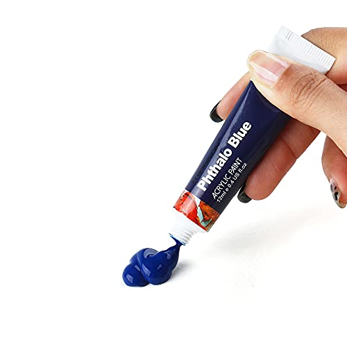 TRANSON Acrylic Paint Set 12-Color with 3 Paint Brushes for Craft Canvas Rock Art Painting