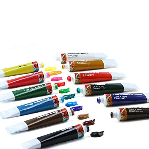 TRANSON Acrylic Paint Set 12-Color with 3 Paint Brushes for Craft Canvas Rock Art Painting