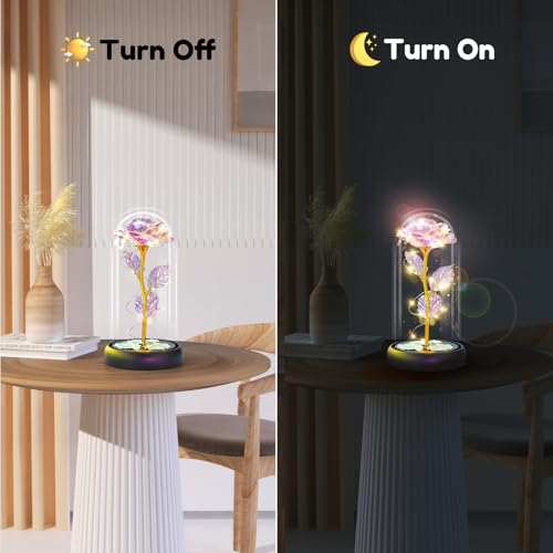Rose Mothers Day Flowers Gifts for Mom from Daughter Son, Birthday Gifts for Women Wife Mom Grandma Nana, Light Up Rose Flowers in Glass Dome, Gifts for Teacher Mother's Day Anniversary