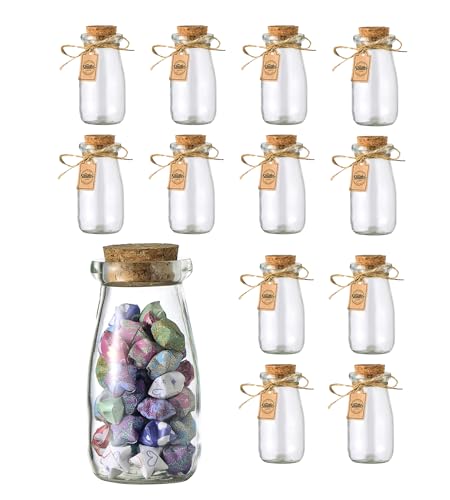 Smith's Mason Jars Set of 12 x 100ml Small Glass Jars with lids | Small Glass Bottles Great for Food Storage, Yogurt jars, Bud Vases, Candies, Arts and Crafts, Home made Gin, Giveaways & More