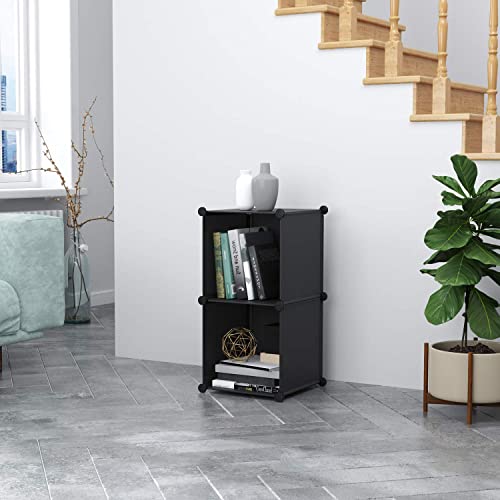 C&AHOME Cube Storage, 2-Cube Organizer Units, Plastic Closet Storage Shelves, DIY Book Shelf, Modular Bookcase, Cabinet Ideal for Bedroom, Living Room, Home Office, 12.4" L x 12.4" W x 24.8" H Black