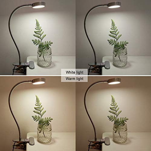 LEPOWER Clip on Light/Reading Light/Book Light Color Changeable/Night Light Clip on for Desk, Bed Headboard and Computers (Silver)