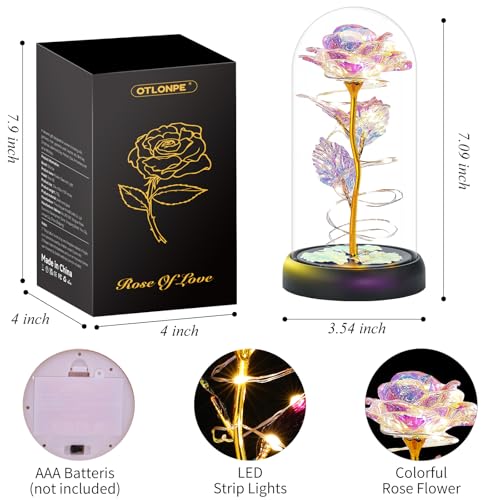 Rose Mothers Day Flowers Gifts for Mom from Daughter Son, Birthday Gifts for Women Wife Mom Grandma Nana, Light Up Rose Flowers in Glass Dome, Gifts for Teacher Mother's Day Anniversary