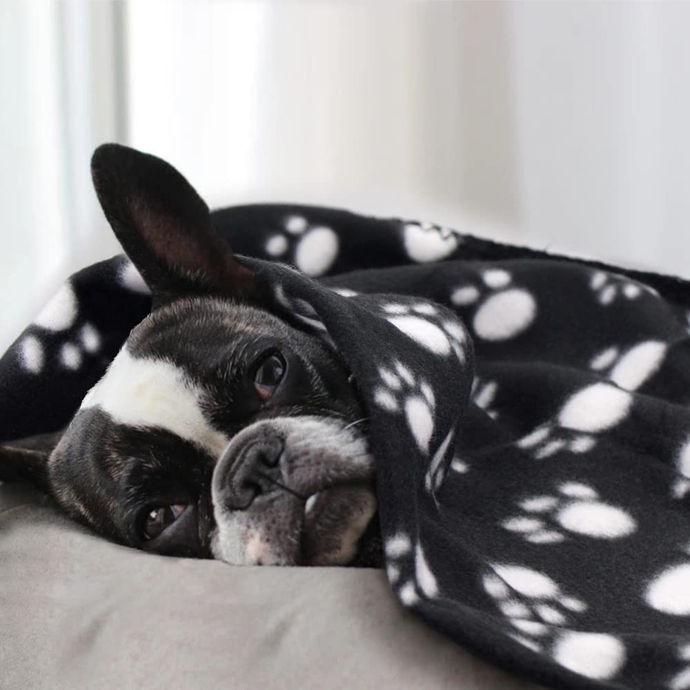 Cute Dog Cat Fleece Blankets with Paw Prints for Kitten Puppy and Small Animals Pack of 6 (Black, Brown, Blue, Grey, red and White)