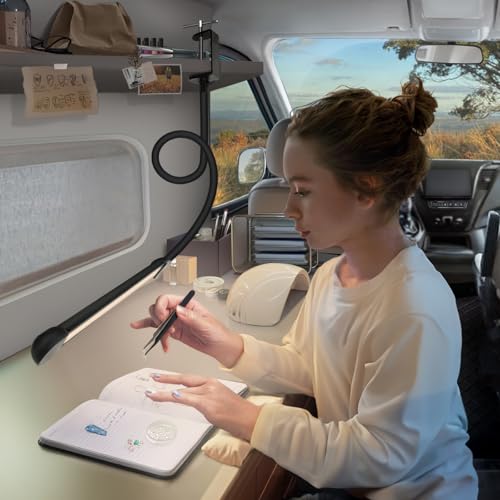 LED Desk Lamp with Clamp, Clamp Light with 30 Adjustable Color Modes, Clip on Light with Long Flexible Gooseneck, Eye Care Lamp Clamp for Study, Work, Home, Office, Black, 12W