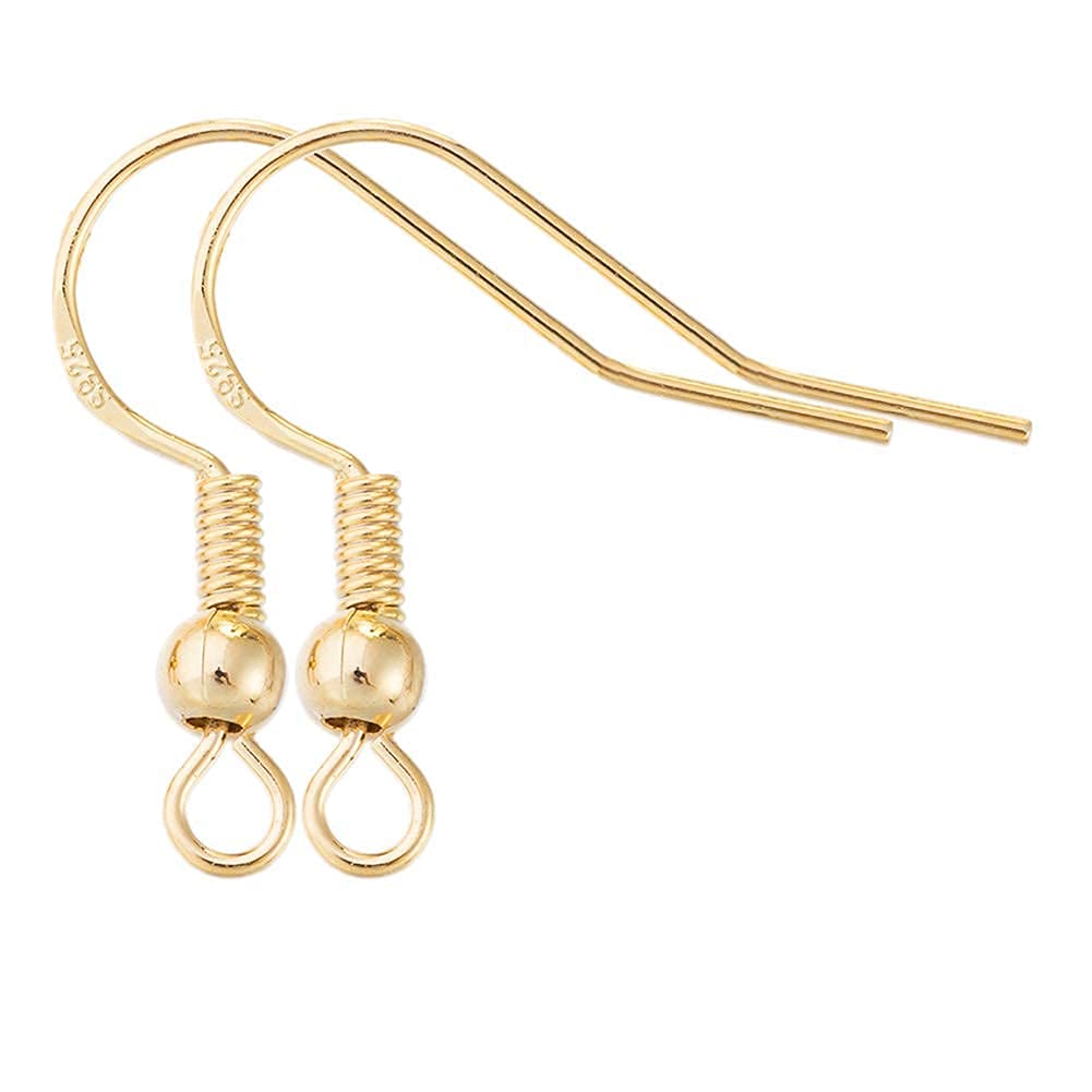 Earring Hooks for Jewelry Making - 120 pcs/60 Pairs Hypoallergenic 14K Gold Ear Wires Fish Hooks for Jewelry Making, Jewelry findings Parts with 120 pcs Rubber Earring Backs Stopper for DIY Earrings