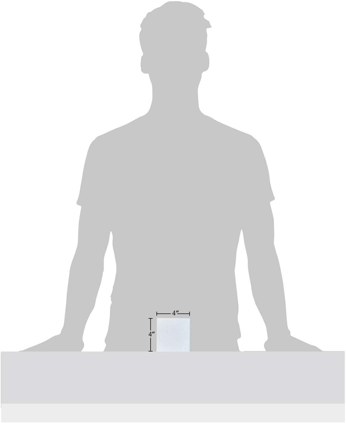 24 Pack Mini Canvas Panels 4x4 Artist Canvas Boards, Double-Wrapped Acid Free Small Art Canvas Value Pack for Oil & Acrylic Painting.