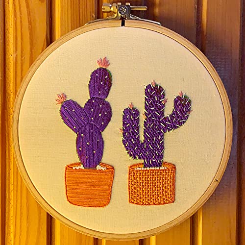 levylisa Embroidery Floss 30 Skeins Cross Stitch Threads Friendship Bracelets Floss with 10 Pcs Floss Bobbins and 2 Pcs Needle Threader (Purple)