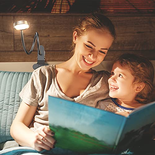 LEPOWER Clip on Light/Reading Light/Book Light Color Changeable/Night Light Clip on for Desk, Bed Headboard and Computers (Silver)