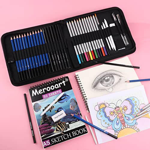 43 Sketch Pencils Set with Two 50 Page Sketchbooks, Colour Pencil Set - Professional Watercolour Pencils for Adults/Children, Professionals/Beginners, Durable Art Pencils for Colouring, Black Zip Case