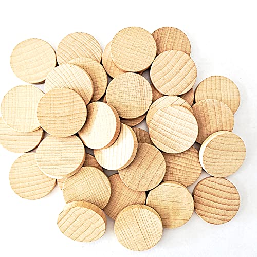 200 Pieces Unfinished Wood Slices, Blank Beech Round Discs for DIY Wooden Crafts(20mm/0.79inch)