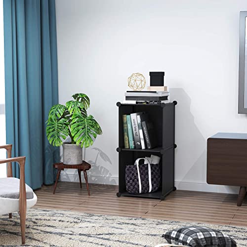 C&AHOME Cube Storage, 2-Cube Organizer Units, Plastic Closet Storage Shelves, DIY Book Shelf, Modular Bookcase, Cabinet Ideal for Bedroom, Living Room, Home Office, 12.4" L x 12.4" W x 24.8" H Black