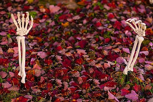 Halloween Skeleton Stakes Decorations, Creepy Hands Arms with Lawn Stakes, Realistic Skeleton Bones for Outdoor Party Yard Lawn Garden Graveyard Haunted House Decor