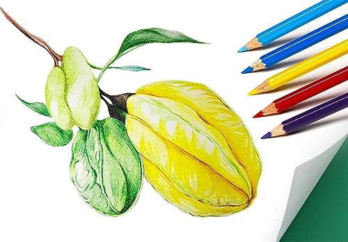 SKKSTATIONERY 50Pcs Colored Pencils,50 Vibrant Colors, Drawing Pencils for Sketch, Arts, Coloring Books, Christmas Halloween Gifts