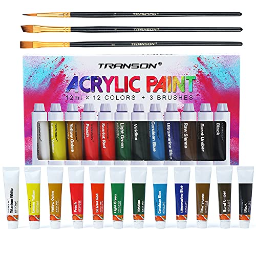 TRANSON Acrylic Paint Set 12-Color with 3 Paint Brushes for Craft Canvas Rock Art Painting