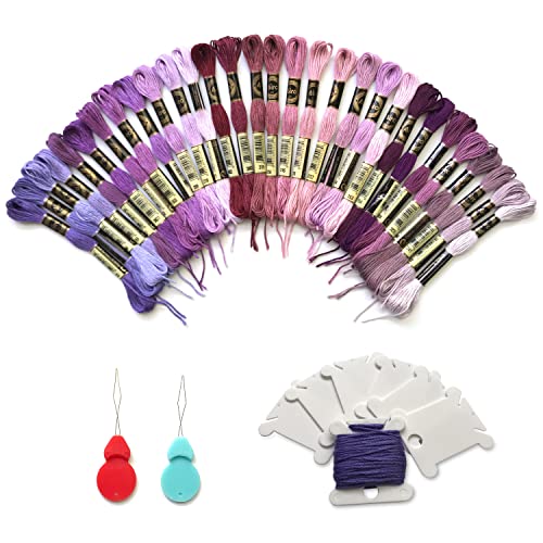 levylisa Embroidery Floss 30 Skeins Cross Stitch Threads Friendship Bracelets Floss with 10 Pcs Floss Bobbins and 2 Pcs Needle Threader (Purple)