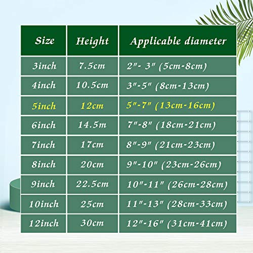 Artliving 5" Clear Plastic Easels or Stand/Plate Holders to Display Pictures or Other Items at Weddings, Home Decoration, Birthdays, Tables (24 Pack)