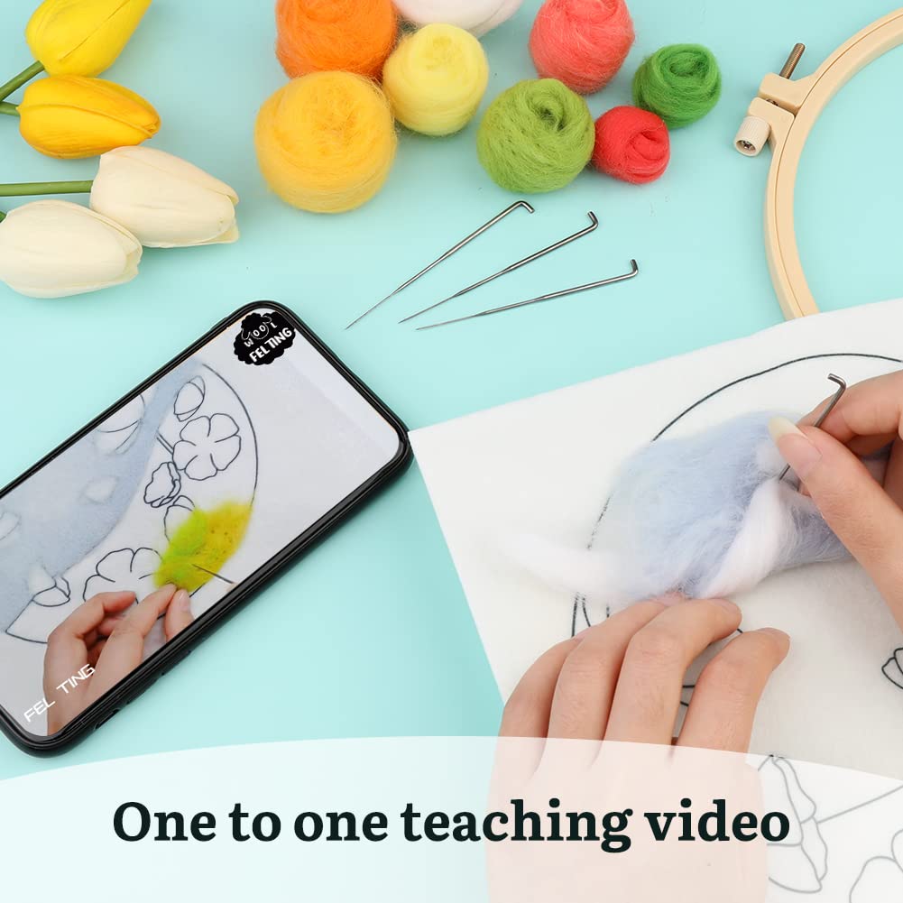 Mayboos Needle Felt Starter Set, Includes Wool Bag, Felting Needles, Foam Pad, Felt Cloth & Instructions, Pastoral Style Kit for Home Decoration