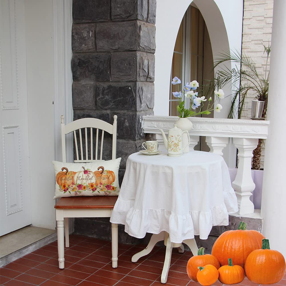 Ogiselestyle Pumpkin Lumbar Throw Pillow Cover 12 x 20 Inch Autumn Thanksgiving Farmhouse Harvest Cushion Case Decoration for Sofa Couch