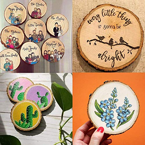 Unfinished Natural Wood Slices with Bark 20 Pcs 3.5-4 inch Craft Wood kit Circles Crafts Christmas Ornaments Rustic Wedding Decoration DIY Crafts for Crafts