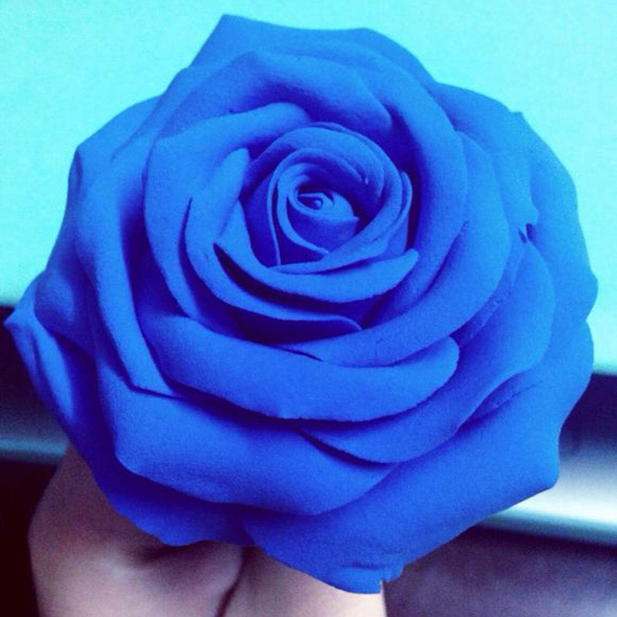 BOHS Blue Modeling Foam Clay - 1.1 Lbs, Squishy,Soft, Air Dry -for Flower Mirror,Cosplay,Fake Bake, Slime Supplies-500g