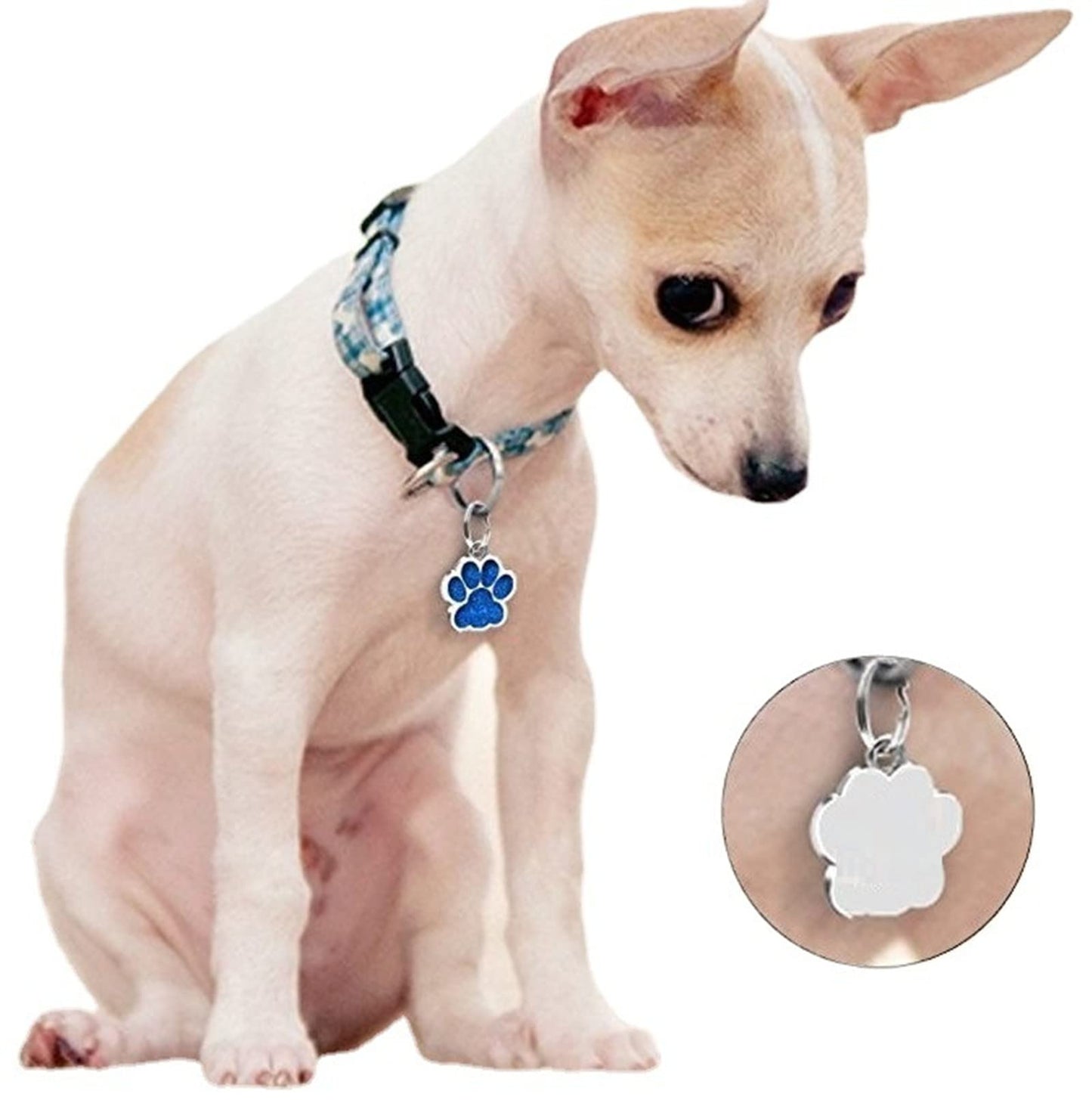 HAN SHENG 40 Pcs Animal Cat Dog Paw Chunk Charms Pendants Crystal Beads Jewelry Findings for DIY Jewelry Making Necklace Bracelet (Multicolor)